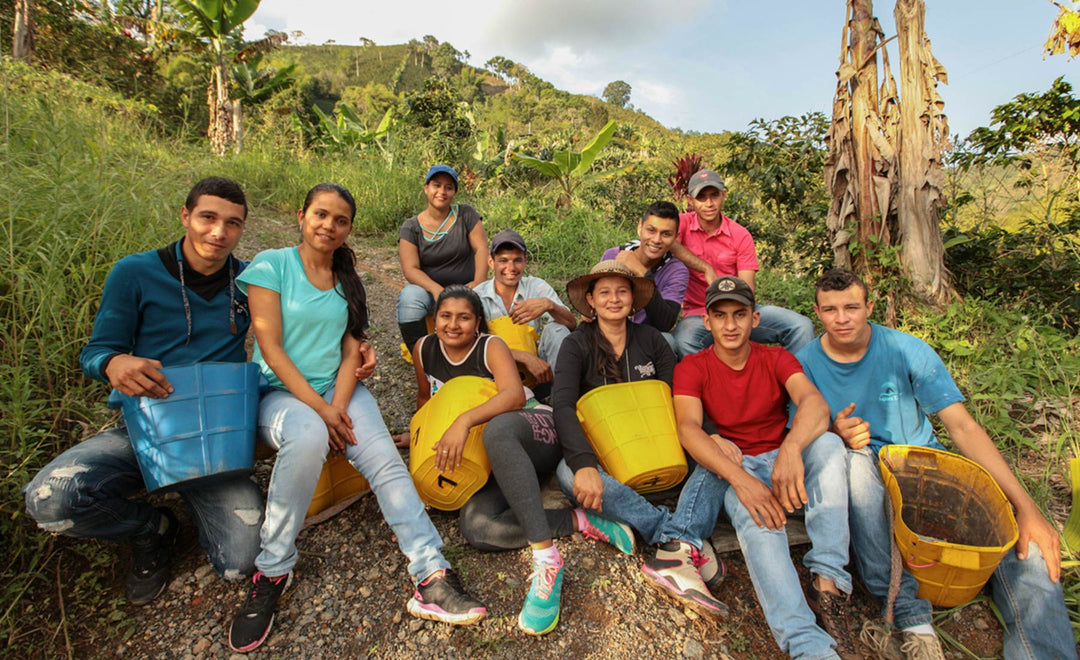 Los desafíos de la nueva generación de caficultores