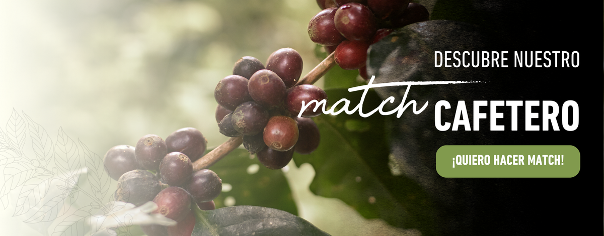 Match Cafetero – Café Señor K