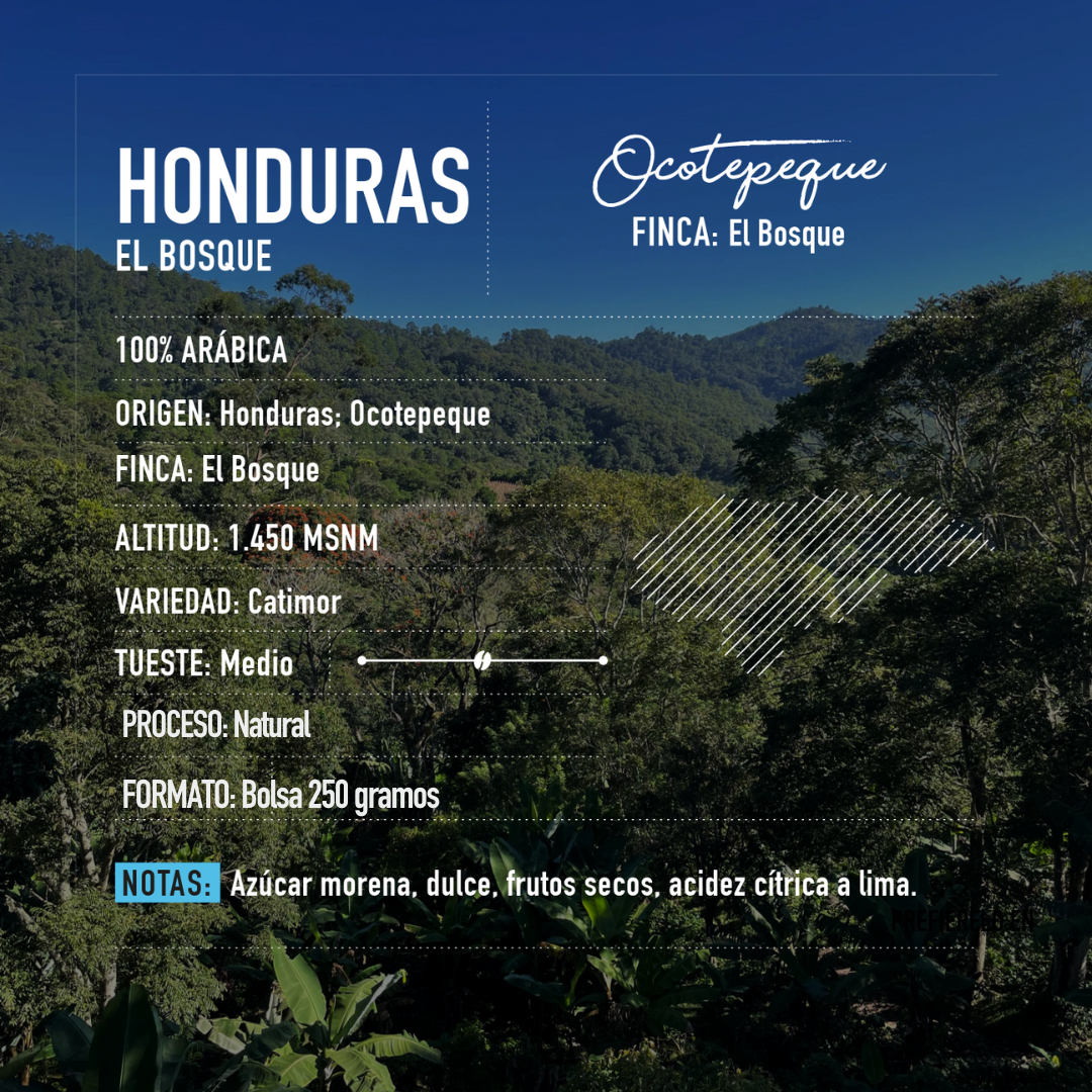 Honduras | El Bosque Bolsa 250 gramos | MOLIDO