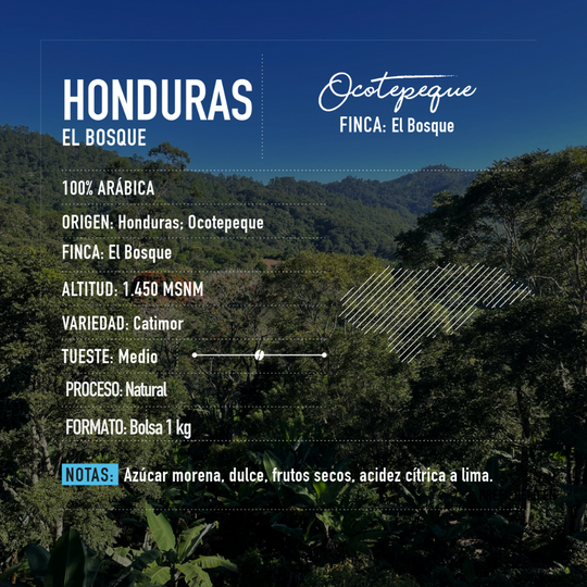 Honduras | El Bosque Bolsa 1 KG | MOLIDO