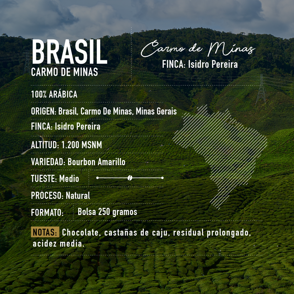 Café de especialidad de Brasil | Natural Carmo de Minas 250 gramos