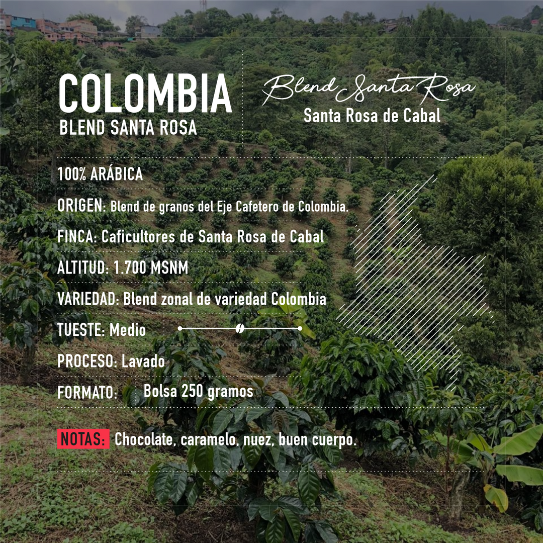 Café de especialidad de Colombia | Blend Santa Rosa Bolsa 250 gramos | GRANO ENTERO