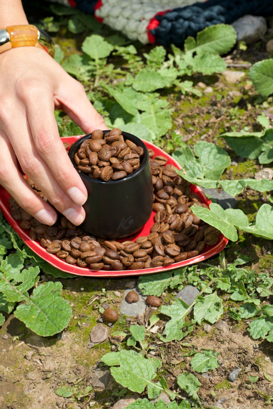 EDICIÓN LIMITADA | Red Fruit Co-fermentado | Colombia Finca La Pradera